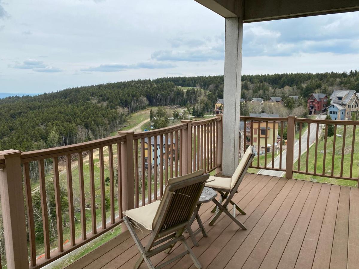 Remodeled Ski In-Out - 305 Soaring Eagle - Luxury! Dunmore Dış mekan fotoğraf
